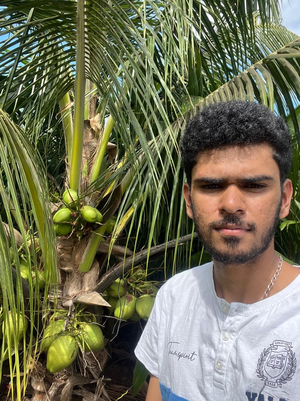 Chowghat Green Dwarf